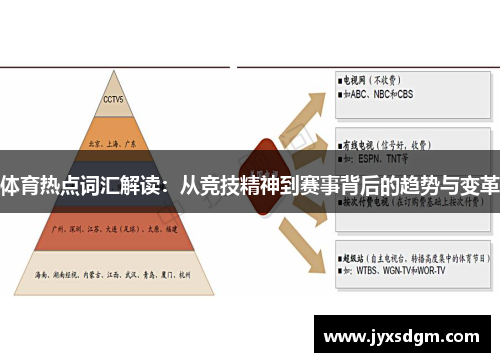 体育热点词汇解读：从竞技精神到赛事背后的趋势与变革