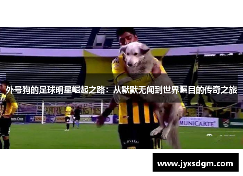 外号狗的足球明星崛起之路：从默默无闻到世界瞩目的传奇之旅