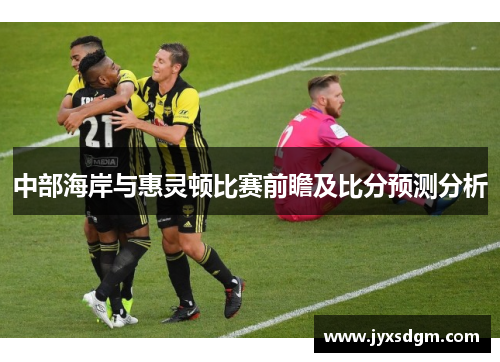 中部海岸与惠灵顿比赛前瞻及比分预测分析